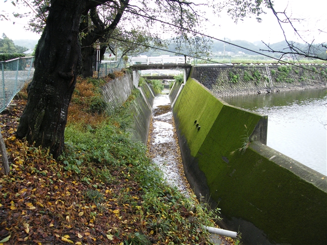 フォト・アーカイブス 拡大写真 ダム便覧